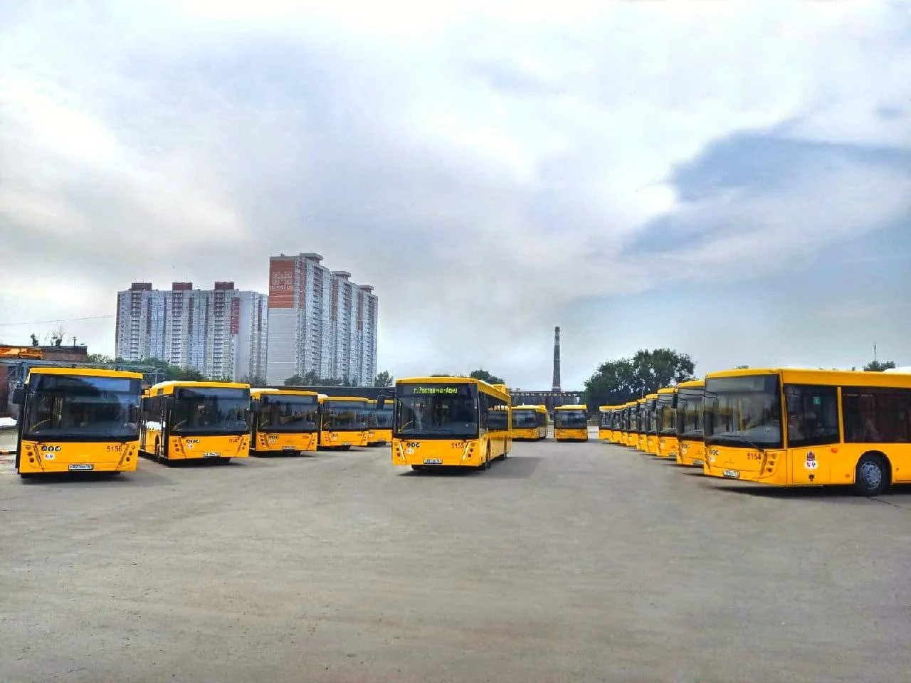 Ростовские перевозчики купят 80 новых автобусов до конца 2023 года