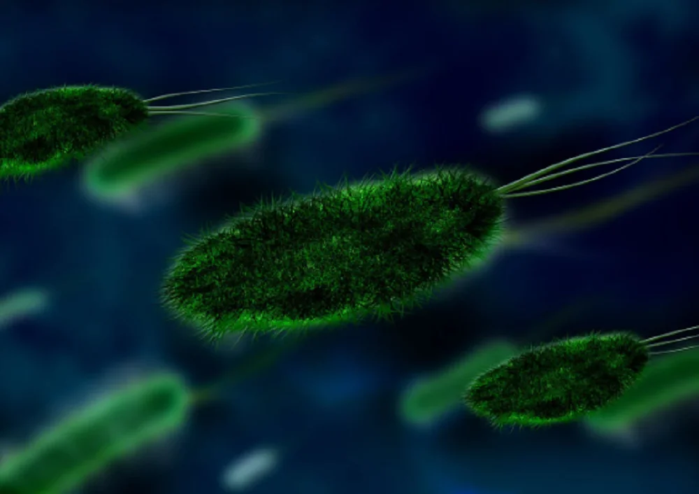 В США в морской воде выявили бактерию, вызывающую гнойный целлюлит и смерть