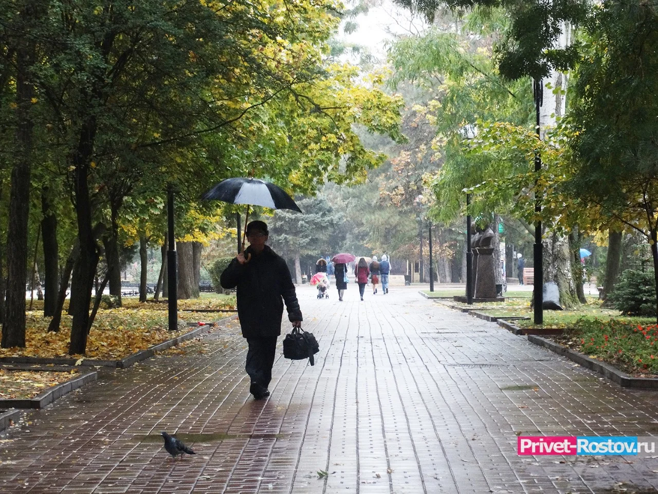 Стало известно о сюрпризах погоды осенью в 2023 году в Ростовской области