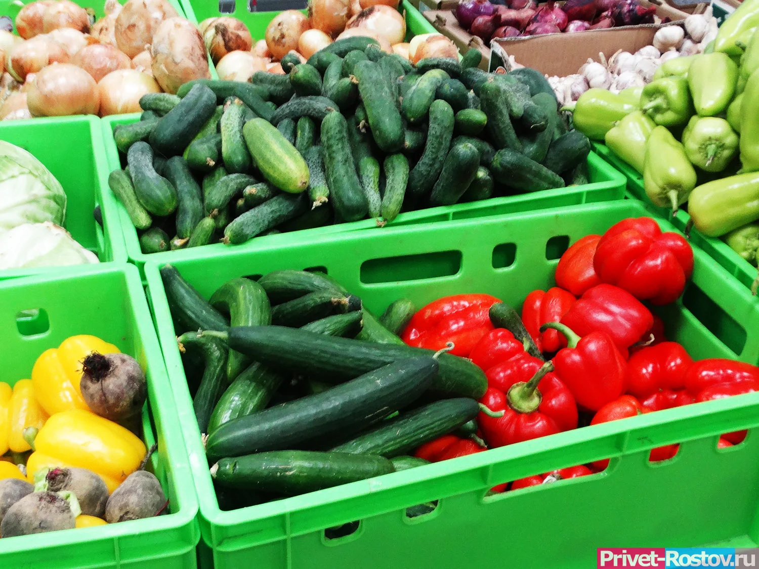 В Ростовской области в июле резко выросли цены на картошку и капусту в августе