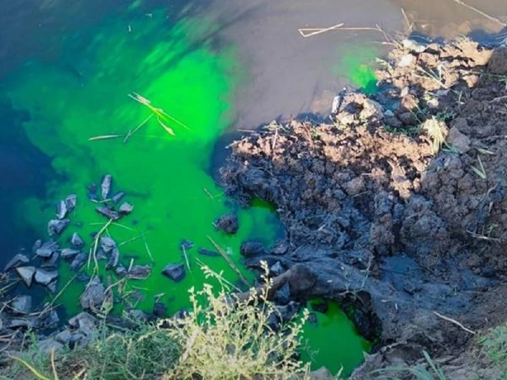 В водоотводном канале Батайска специалисты Минприроды выявили сброс сточных вод