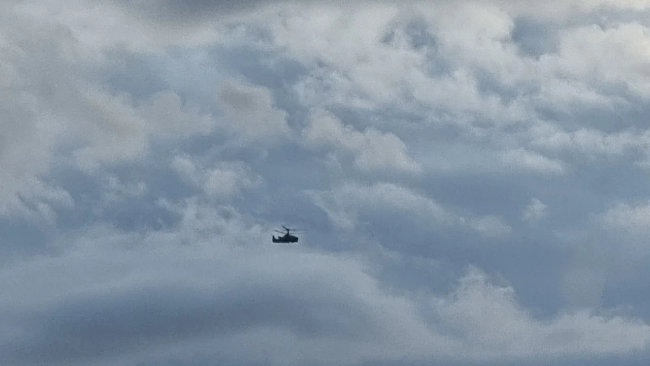 Жители в Ростове заявили‚ что НЛО прилетели на кабанов посмотреть