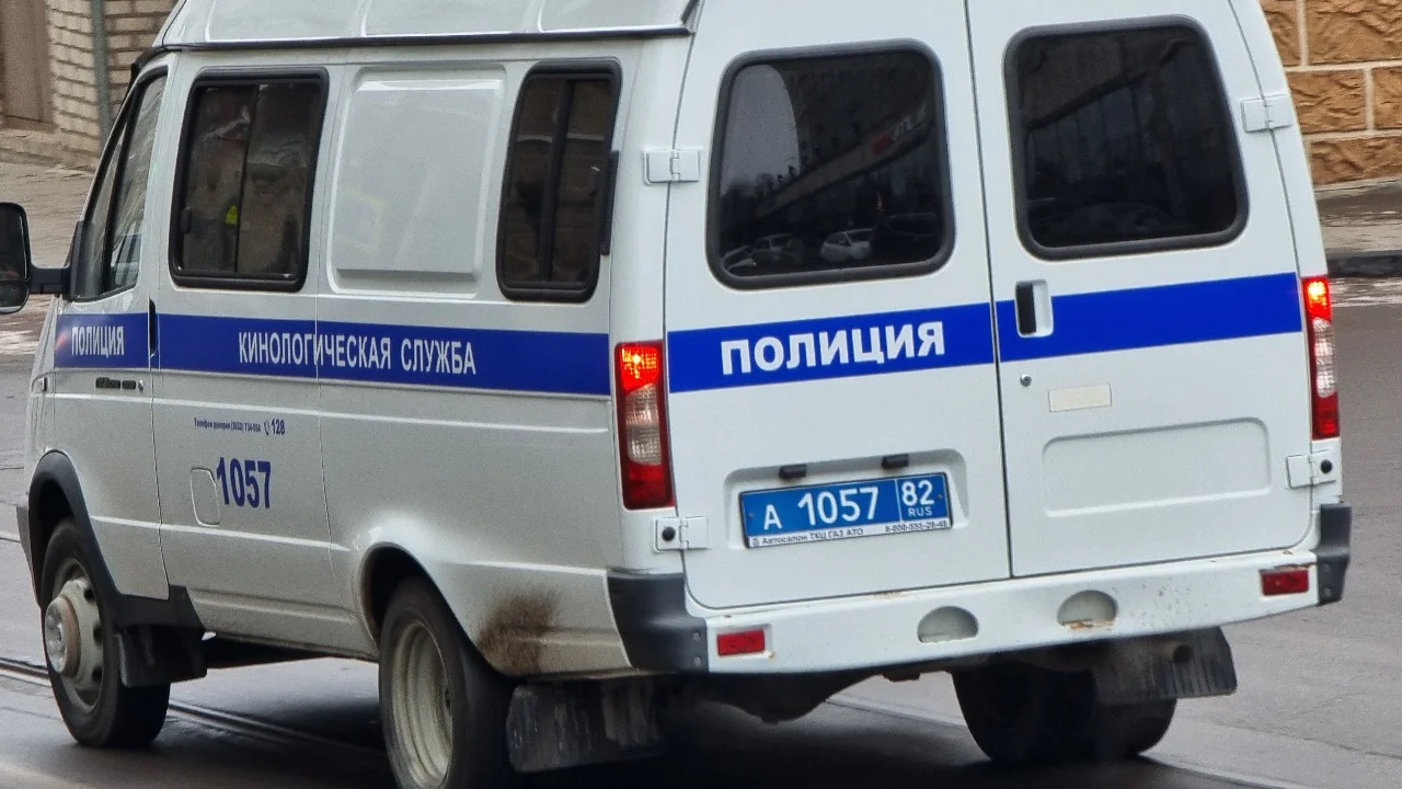 Дело завели после массовой драки продавцов с полицией на рынке в Таганроге