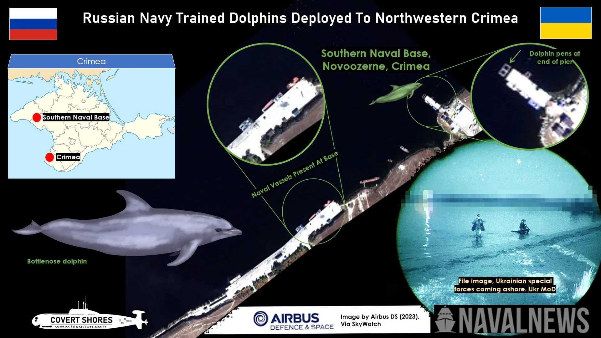 Британские ВМС: Россия перебросила в Крым для борьбы со спецназом ВСУ боевых дельфинов