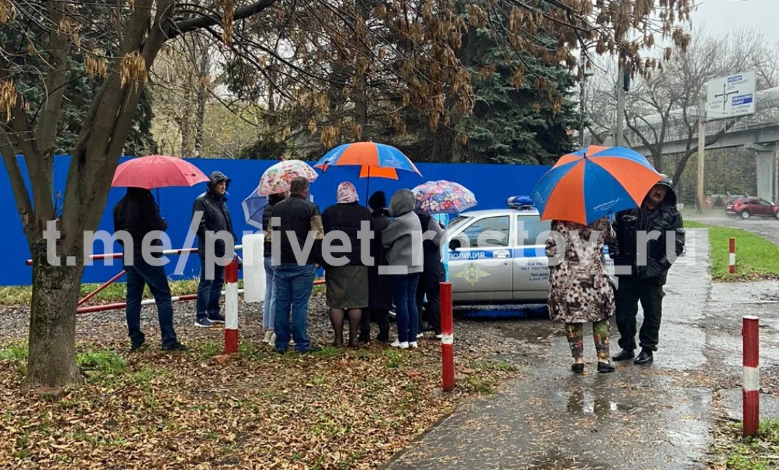 Возмущенные жители Ростова просят Голубева пресечь вырубку рощи у старого аэропорта