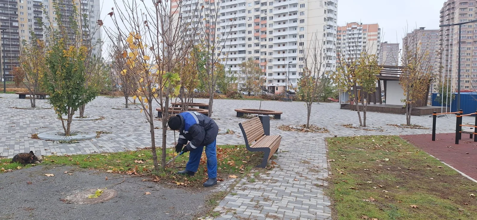 Оператор парка 70-летия Победы в Суворовском изменит жизнь ростовчан