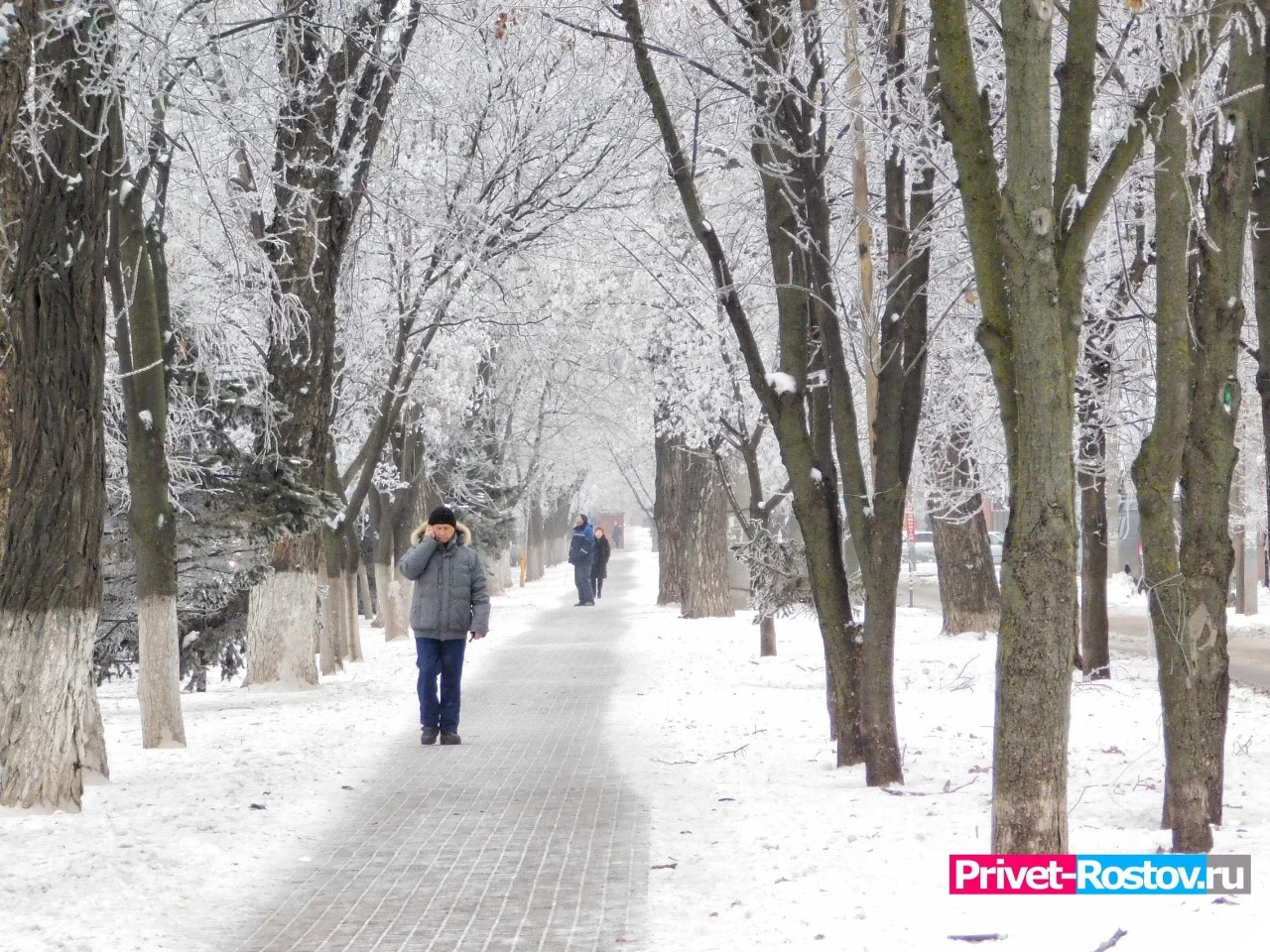 Снегопад пообещали синоптики в Ростове-на-Дону с 16 ноября