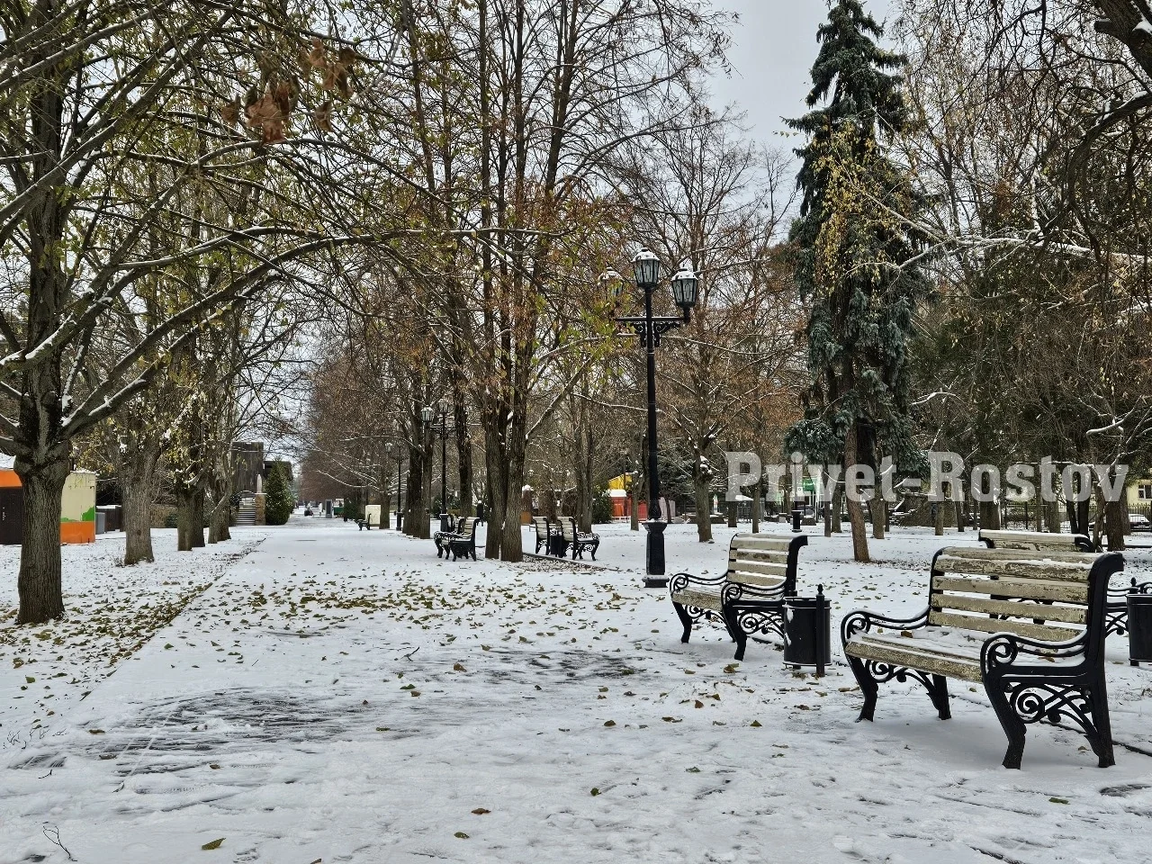 До +15 резко потеплеет в Ростовской области после вторжения зимы