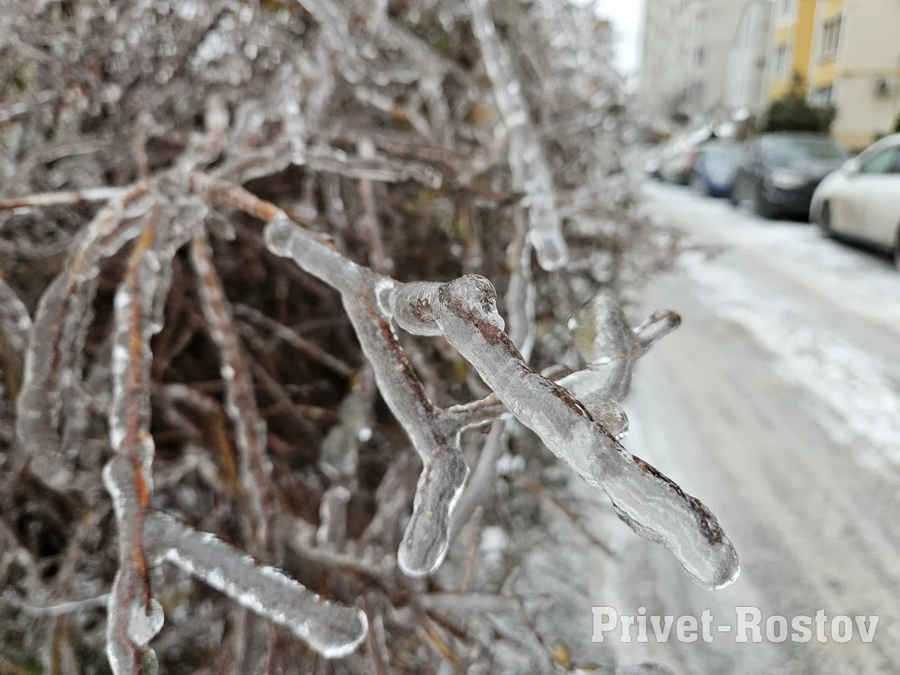 Климатолог Иошпа объяснил, причины ледяной атаки на Ростов-на-Дону
