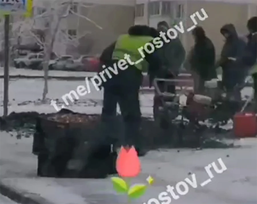Эксперт Ермолаева назвала нормой высадку тюльпанов в Ростове в мороз и гололед