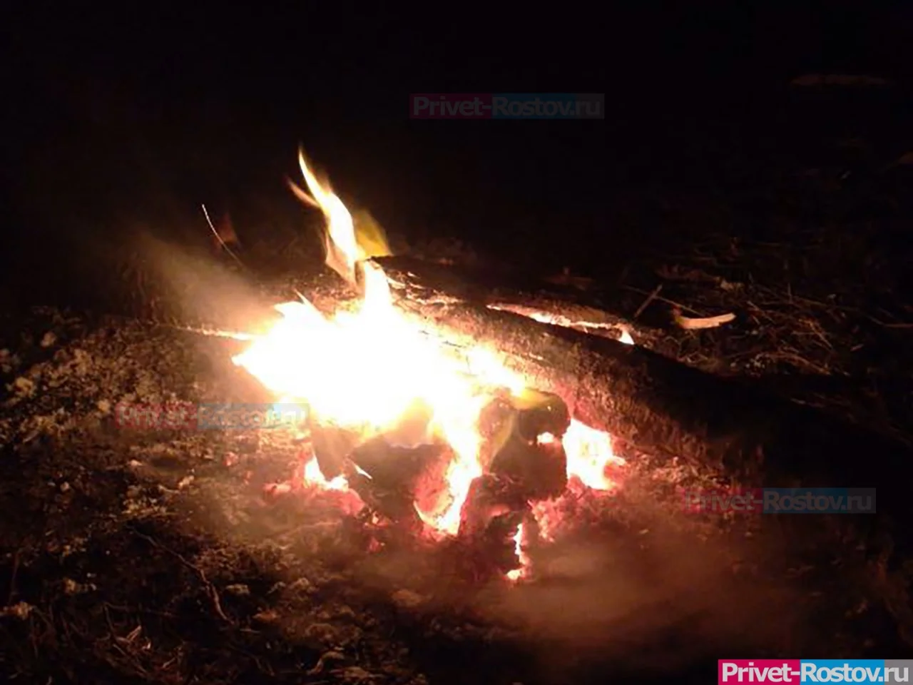 В Ростовской области сожгли 223 кг сыра и мяса из-за санкций в декабре