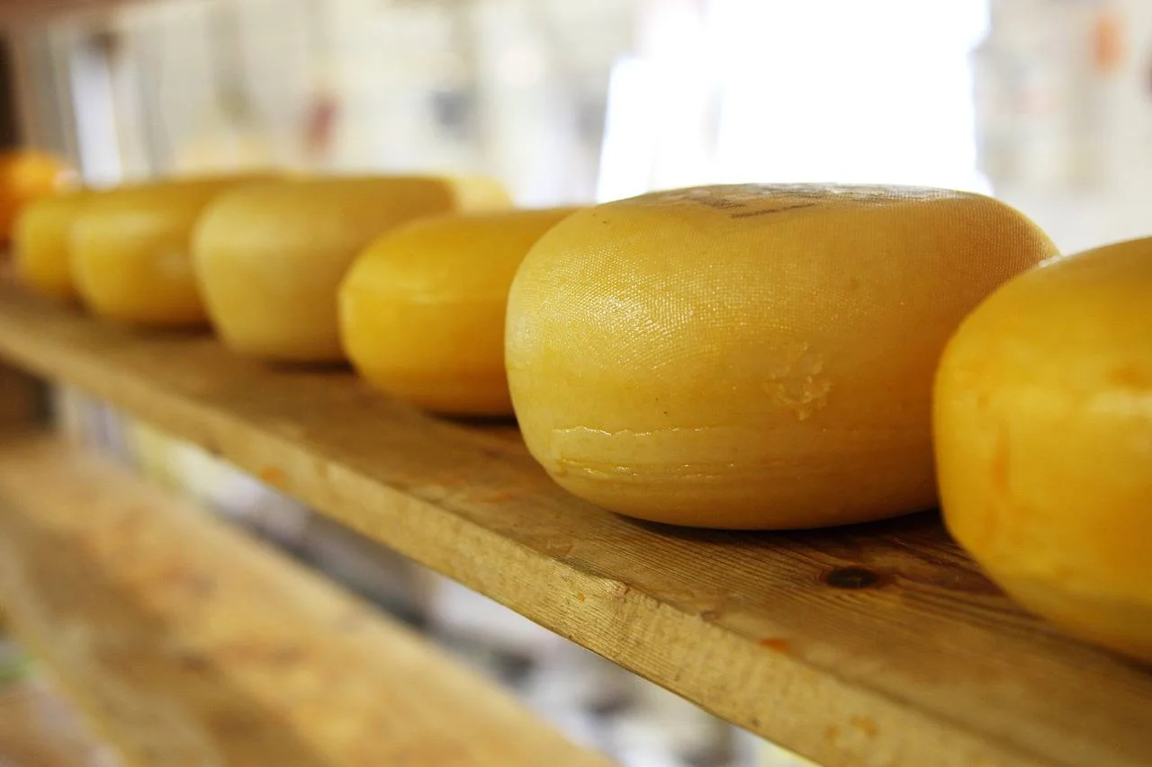 Самый качественный: Роскачество обнародовало рейтинг лучших брендов сыра которые порадуют всех хозяек