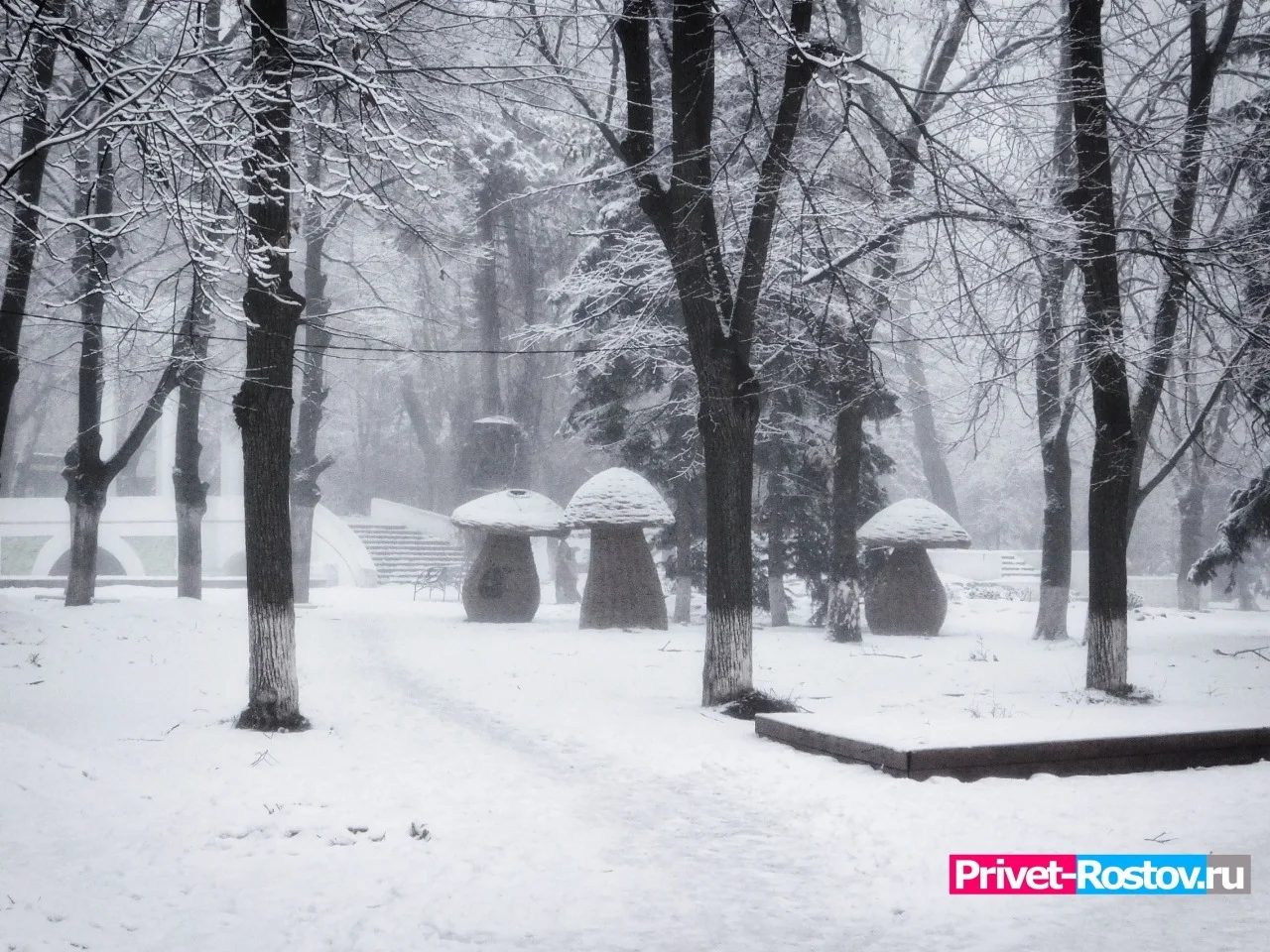 Климатолог Иошпа рассчитал погоду на вторую половину зимы 2024 в Ростовской области