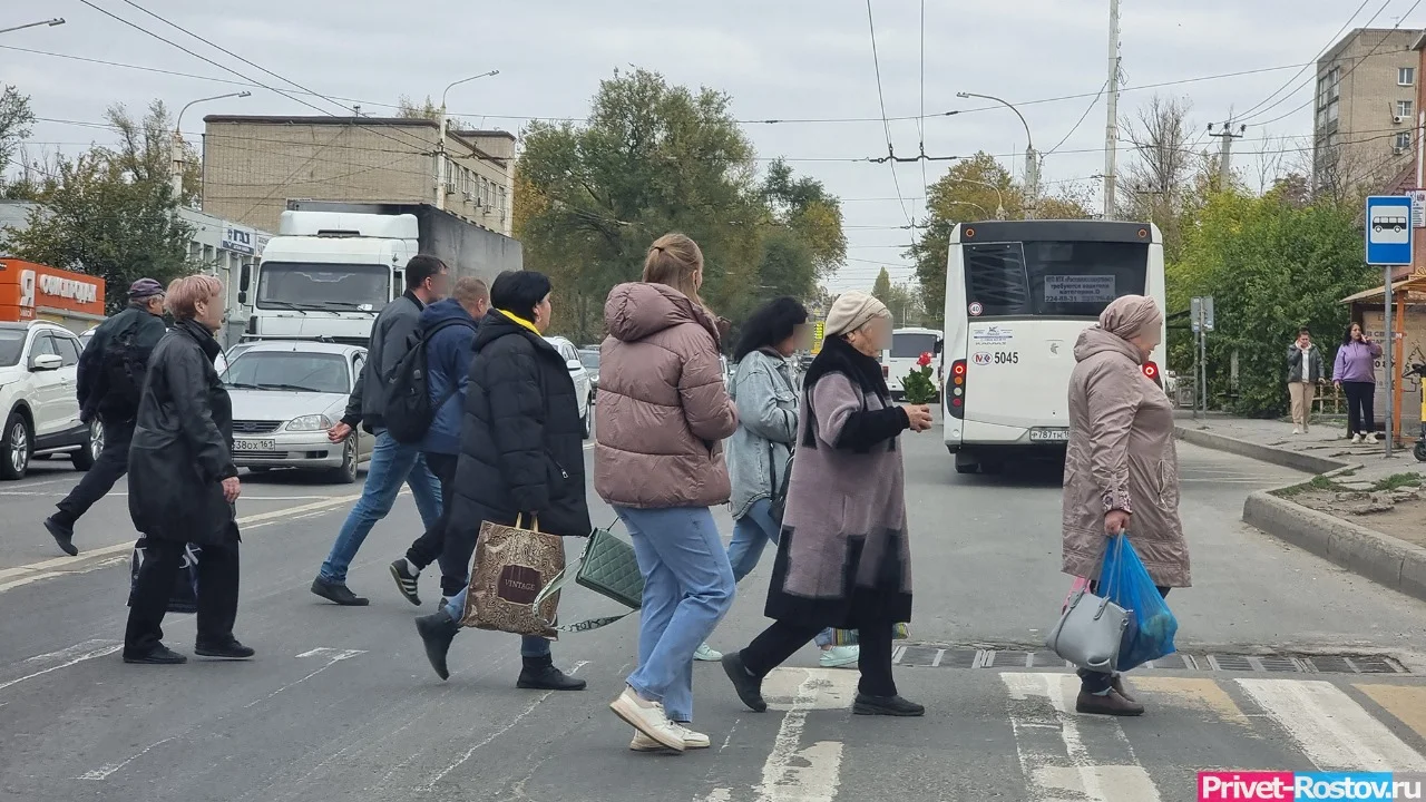 На 47% больше стало самозанятых в Ростовской области за 2023 год