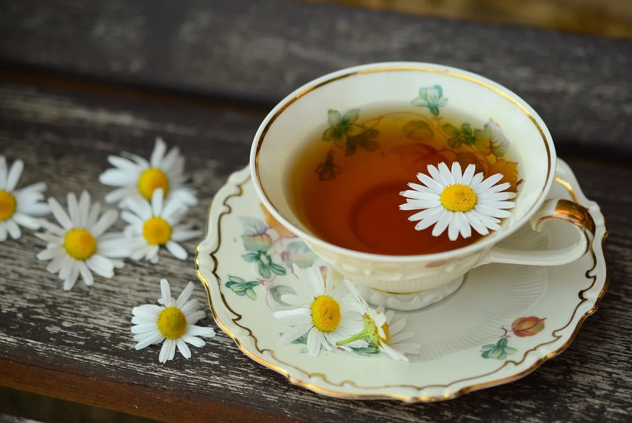 Назван лучший чай для профилактики рака: его рекомендуют онкологи