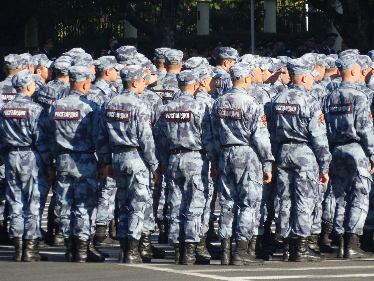 Хинштейн: Росгвардия проверит документы зачинщиков конфликта под Ростовом после резонансного нападения
