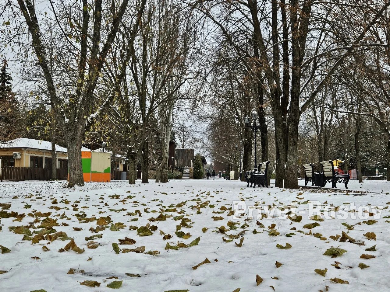 Синоптики разъяснили, когда в Ростовской области стартует сезон снегопадов