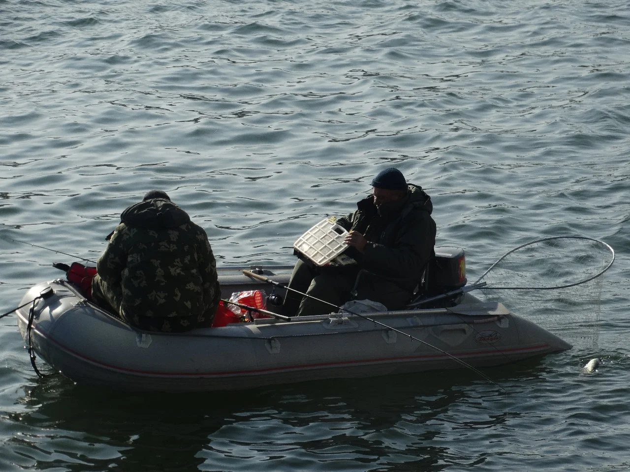 Невероятных размеров щуку выловил рыбак в Ростовской области