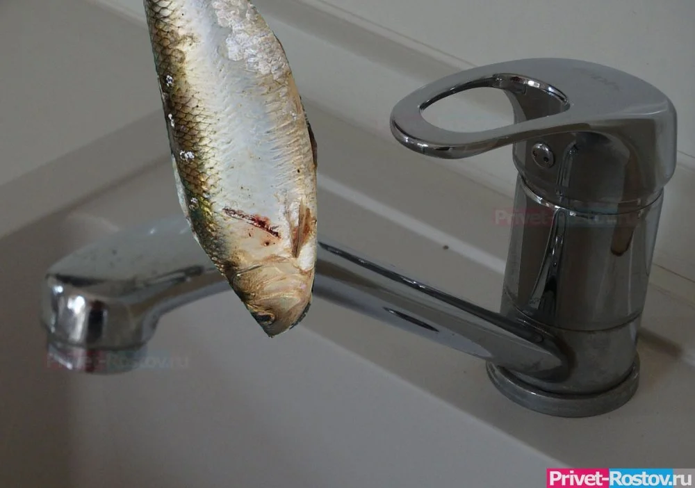 По кранам в Ростовской области стали подавать воду с запахом тухлой рыбы