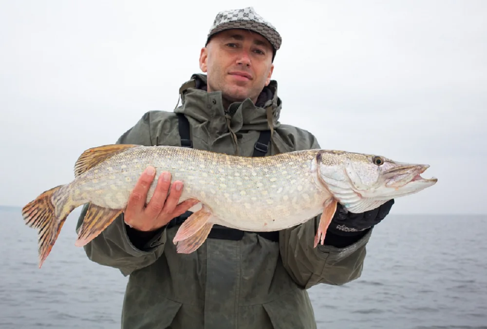 В Таганроге мужчина выловил рыбу за 9,5 млн рублей