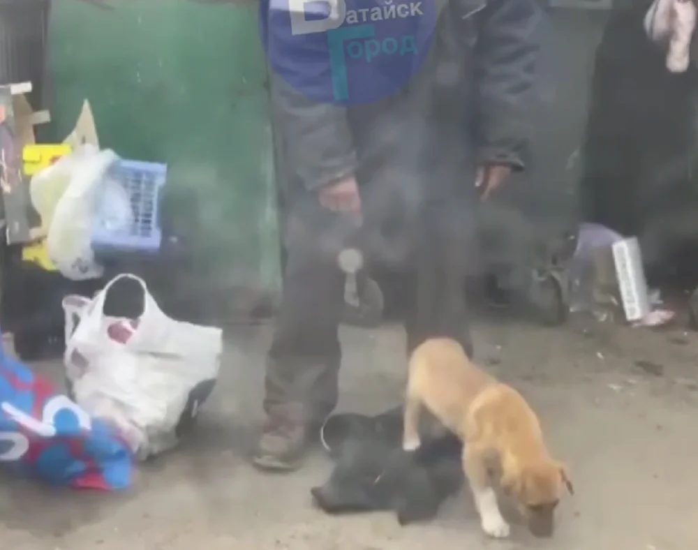 В Батайске неизвестные выбросили щенка в закрытой сумке