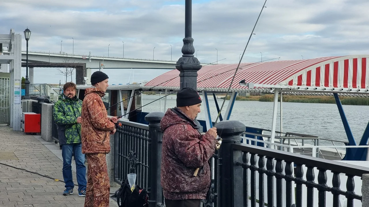 Невероятных размеров щуку выловил рыбак из реки в Ростовской области