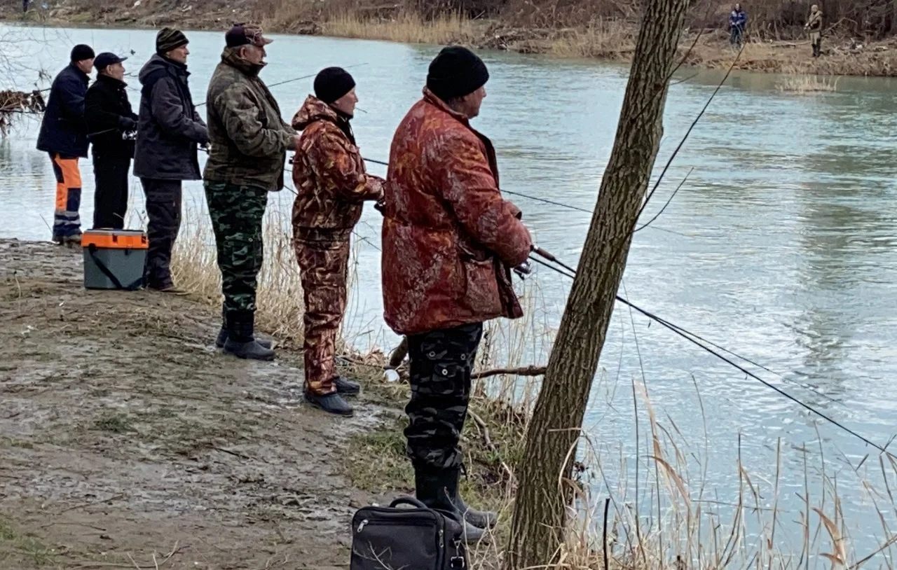 Пруды с невероятным количеством рыбы нашел в Ростовской области мужчина