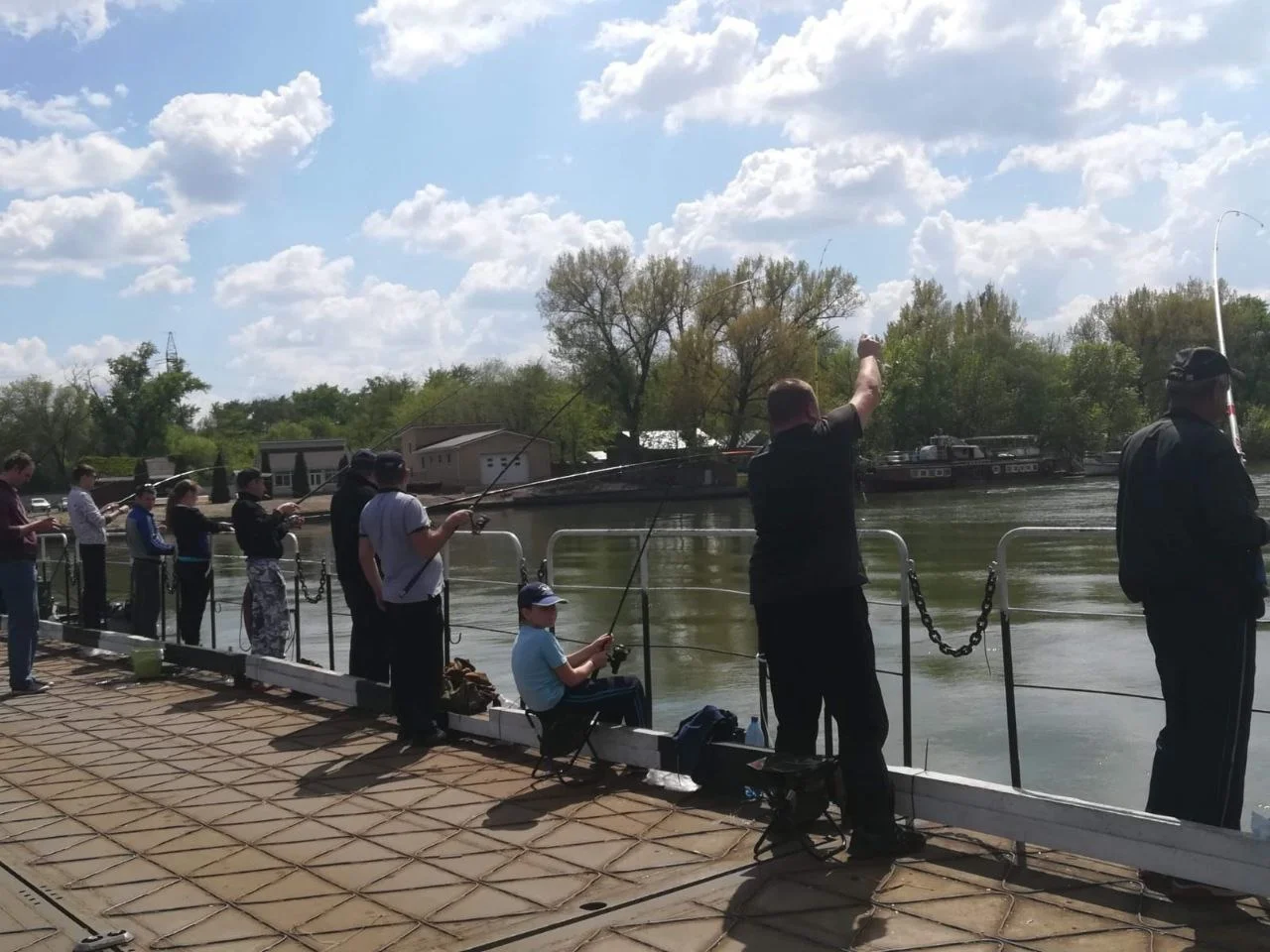 Ростовские рыбаки пожаловались на полное отсутствие улова на платном пруду