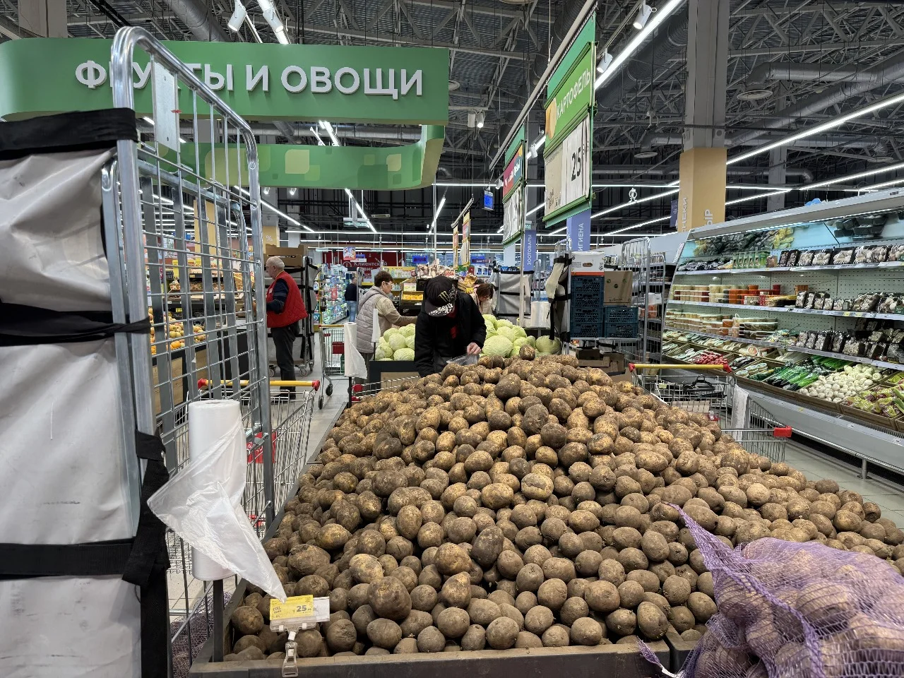 Почти 50% жителей в Ростовской области стали массово выращивать картошку