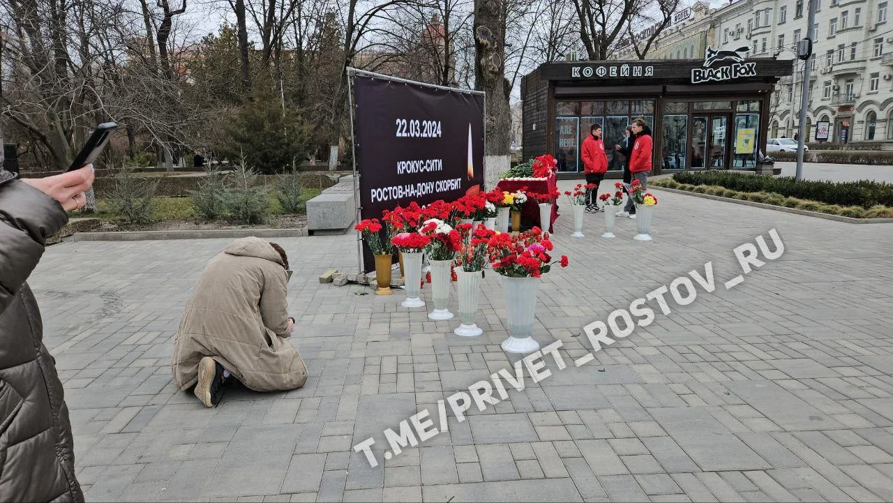 24 марта в Ростовской области объявлено днем траура