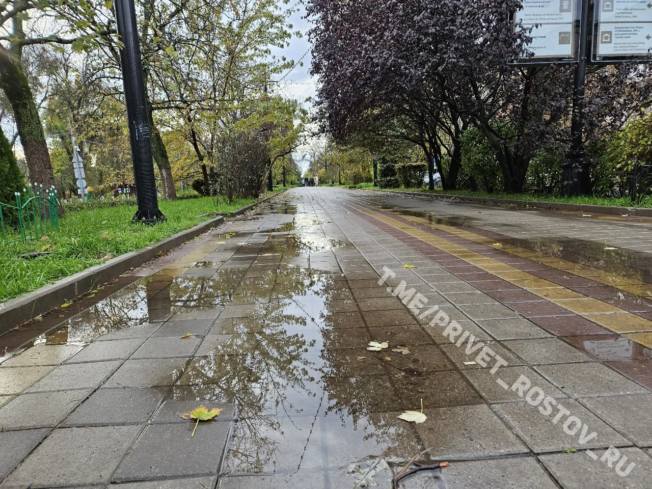 В Ростове с 30 апреля похолодает до +15 и пройдёт дождь