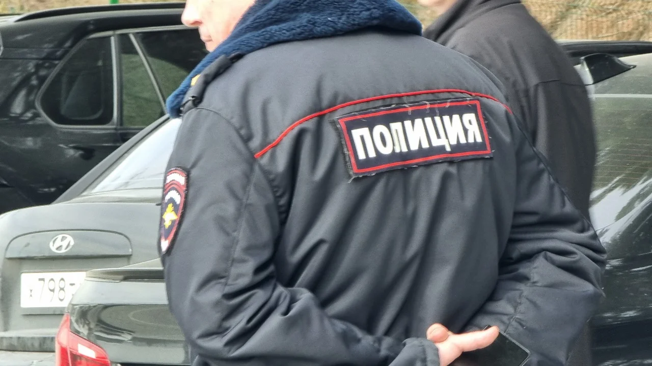 В Ростове-на-Дону женщина без трусов разбила стекла у 25 автомобилей