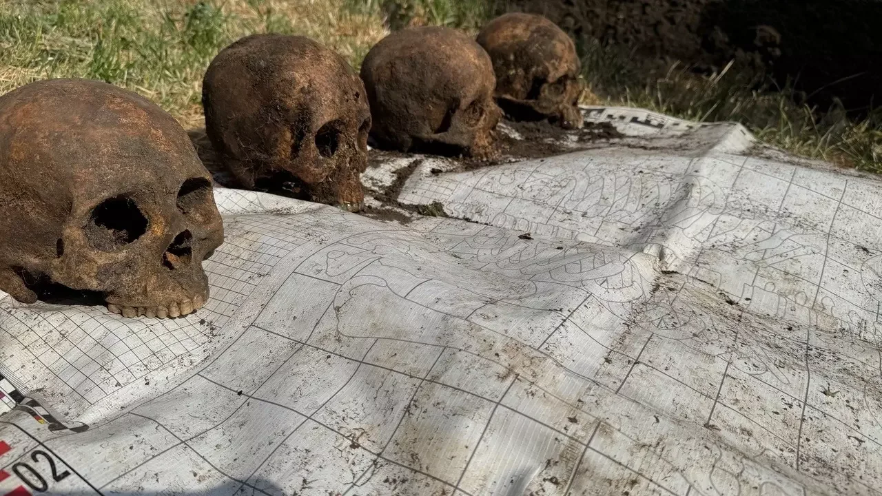 Братскую могилу с останками советских бойцов нашли в Ростовской области