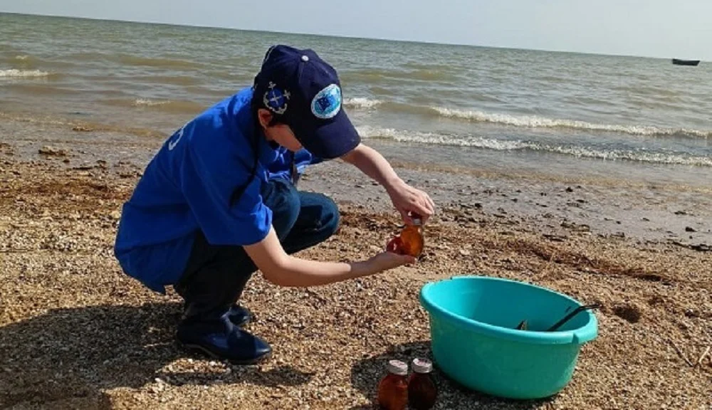 Донские ученые сообщили об активном размножении понгаммаруса в Азовском море