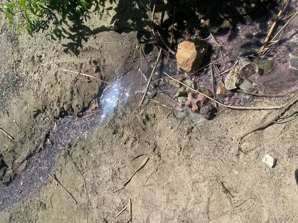 Миниприроды Ростовской области обнаружило незаконный слив розовой воды в реку Дон