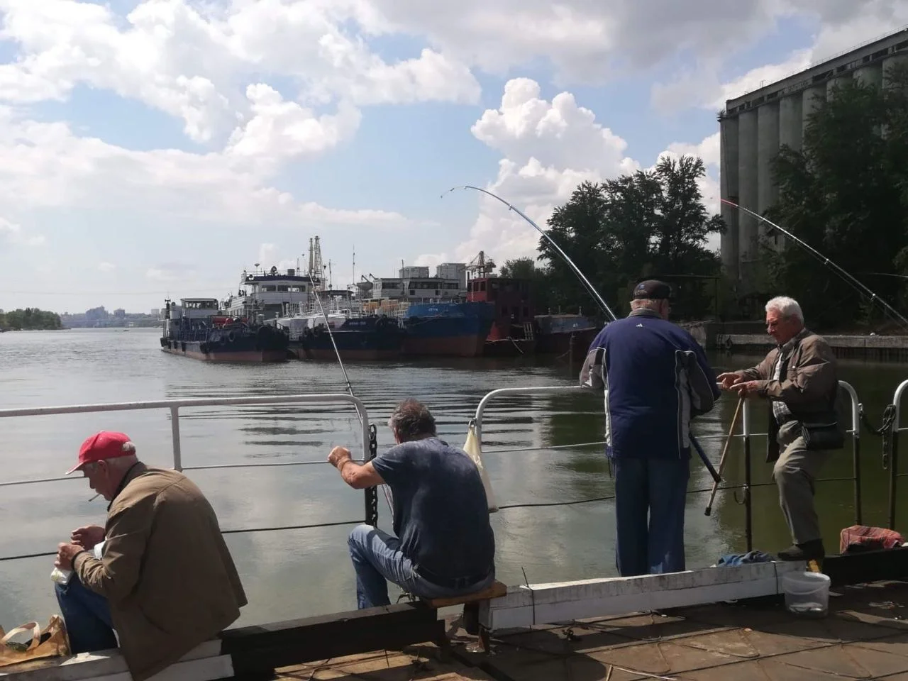 Сома размером больше человека выловил рыбак в Ростове
