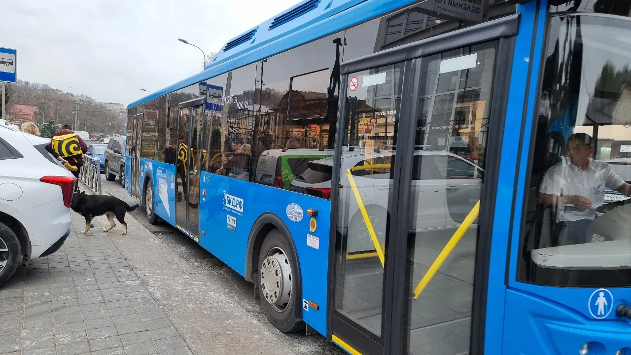 Из Ростова в Стамбул запустили автобус