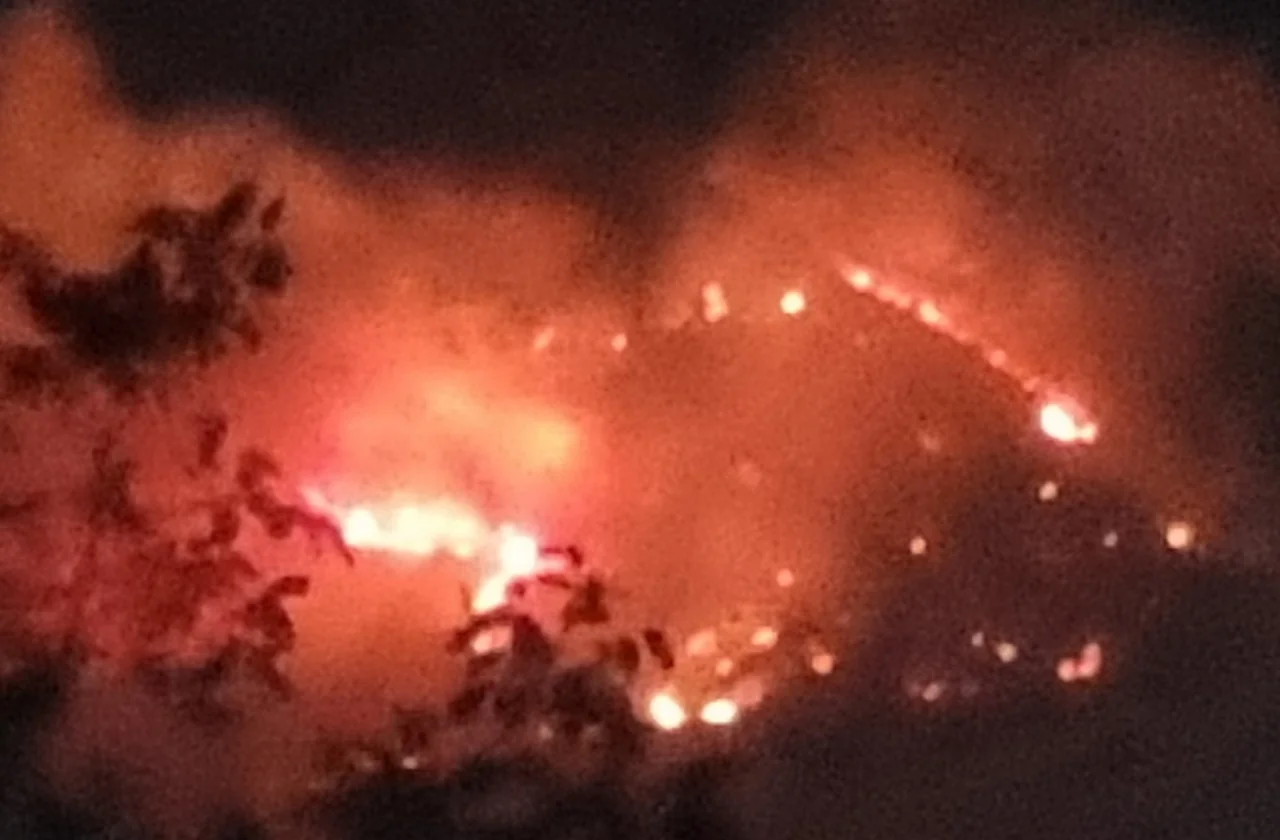 В Ростове через полтора часа потушили пожар на загоревшемся авторынке «Фортуна»