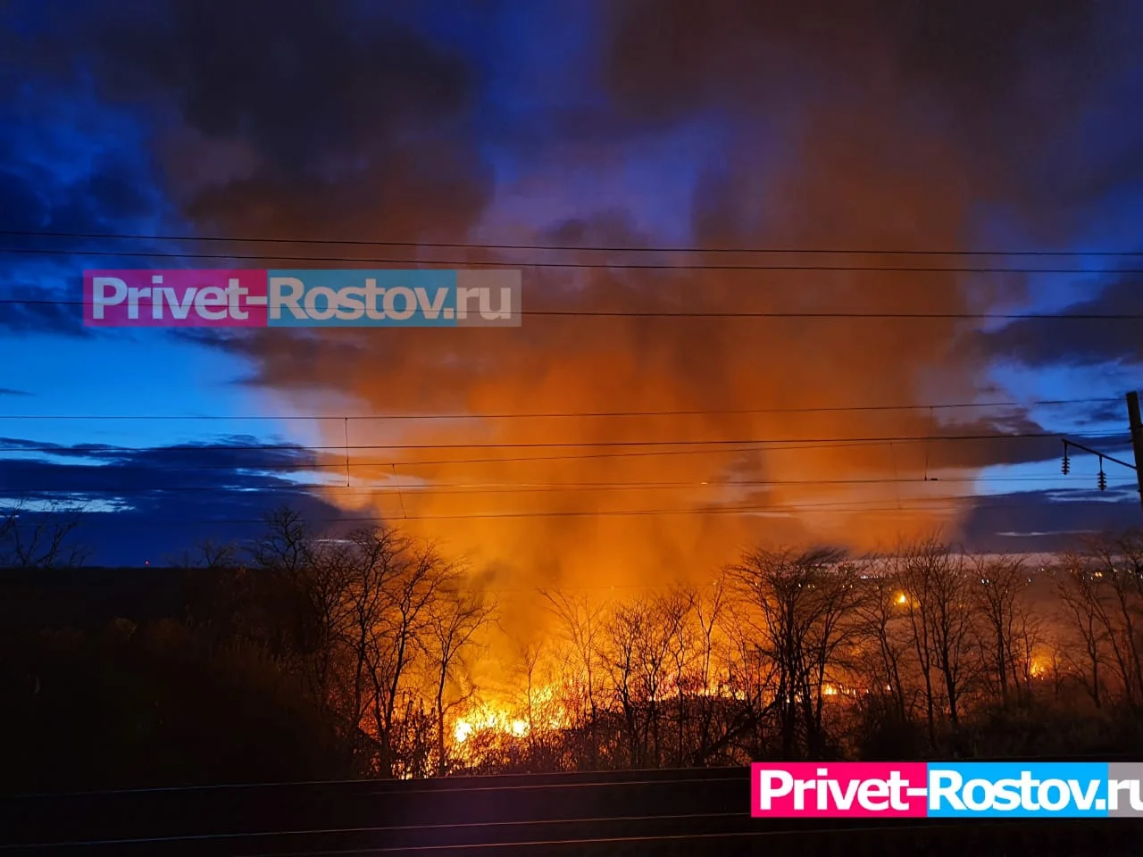 В Ростовской области с 1 мая объявили о чрезвычайной пожароопасности
