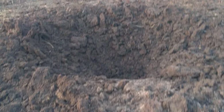 Житель Ростовской области нашел в огороде под Ростовом загадочный «кратер»