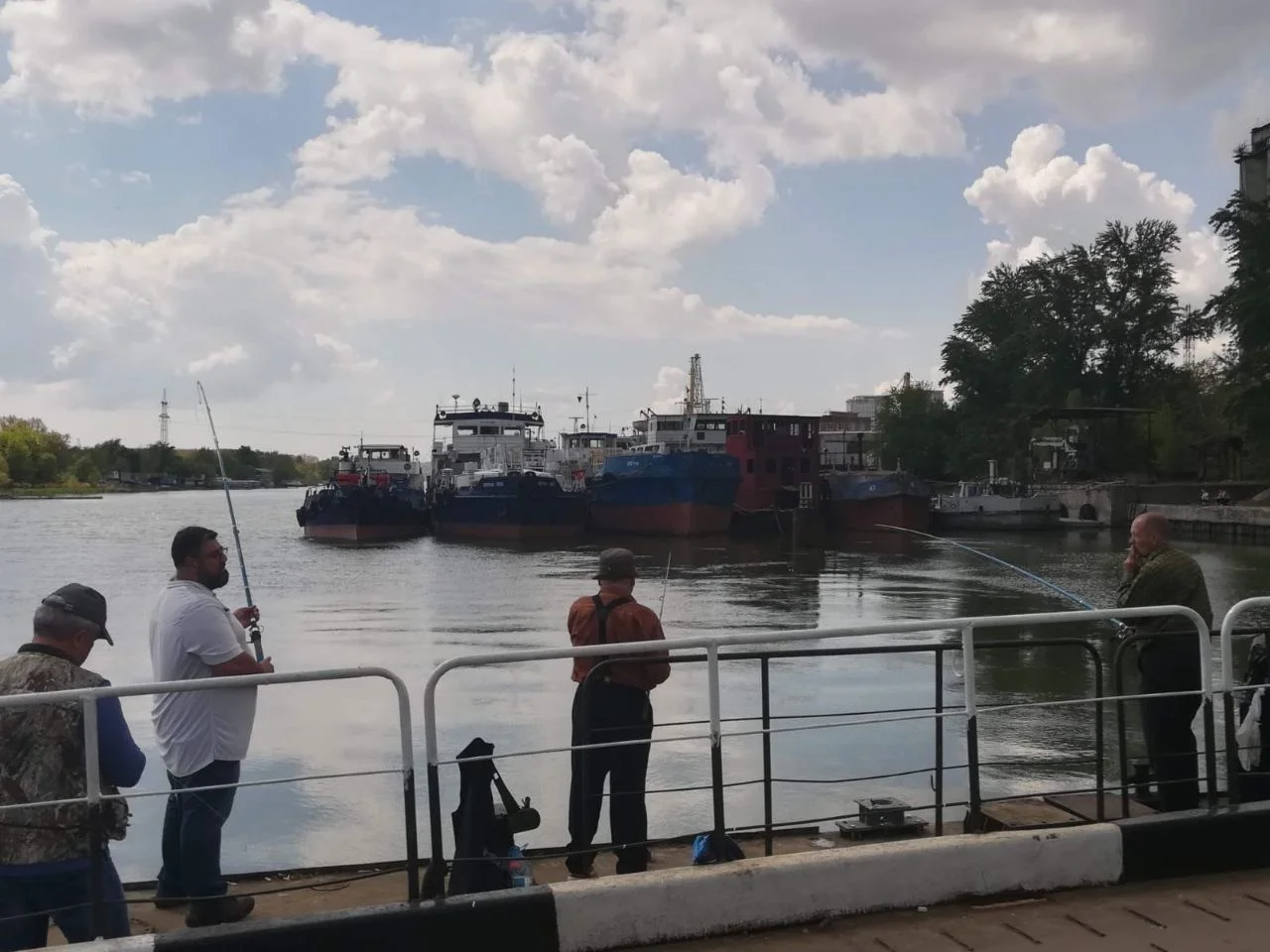 В Ростовской области рыбак выловил из водоема гигантского сома