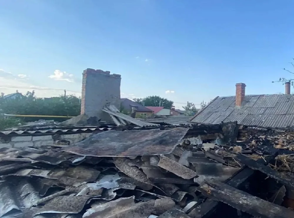 Играли с зажигалкой: в Ростовской области дети сожгли дом