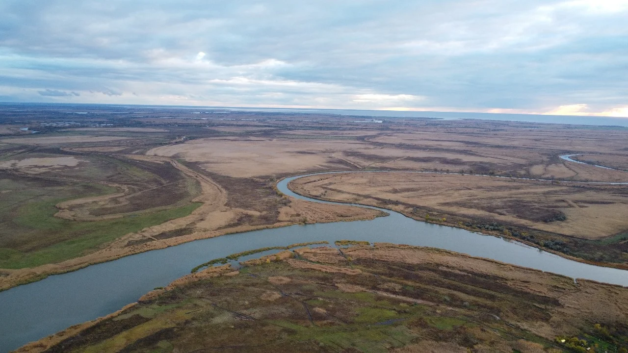 В Волгодонске туристы заметили в реке Дон странные масляные пятна