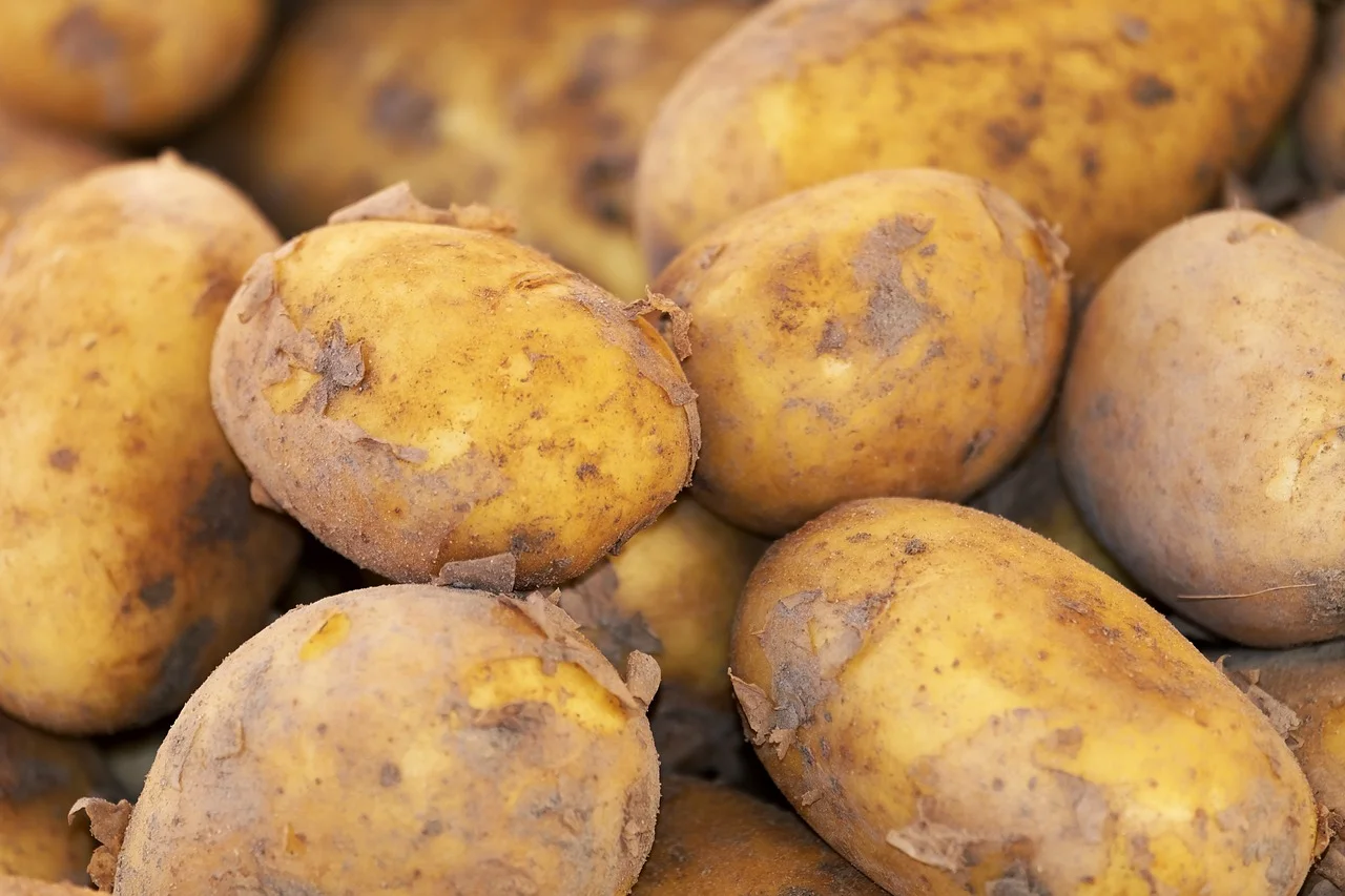В Ростовской области резко увеличилсь цены на молодой картофель