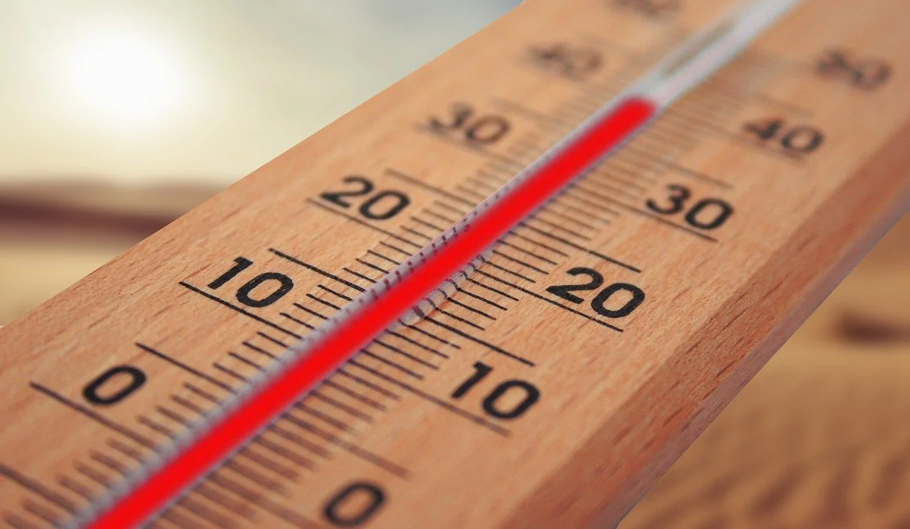 Ростов накроет аномальная жара до +46 в первых числах июля