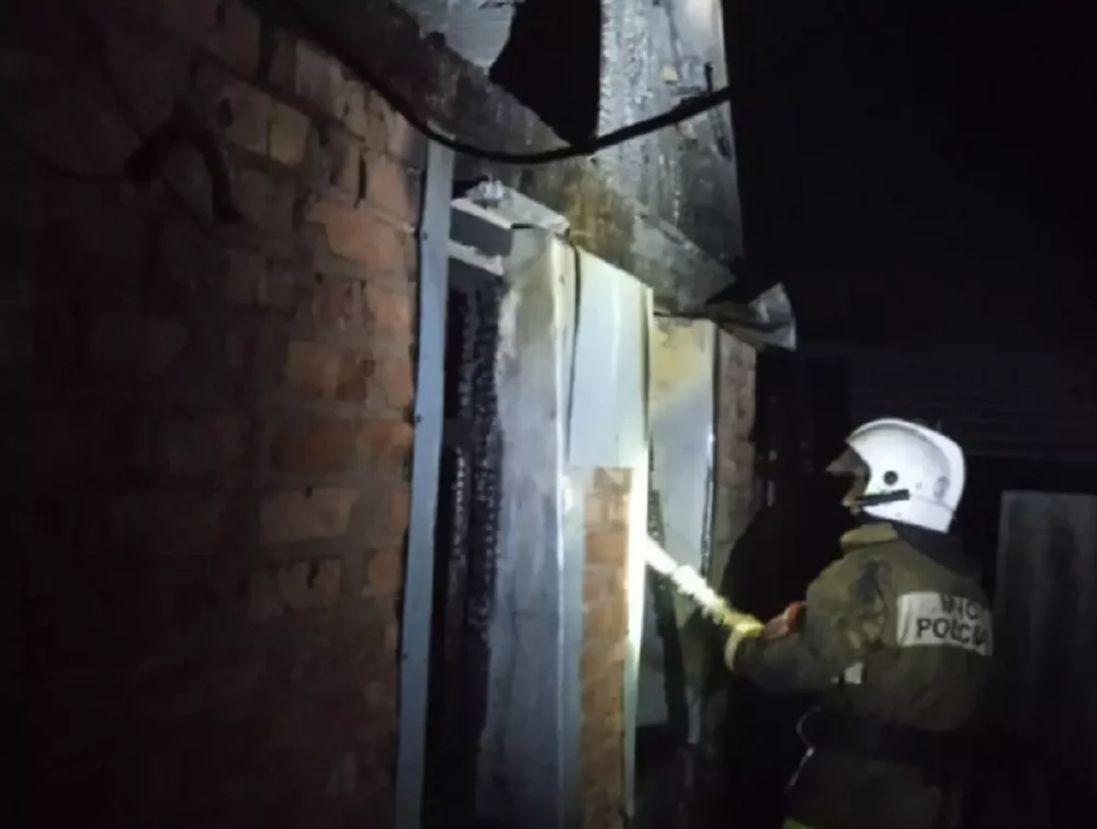 В Ростовской области насмерть дымом при пожаре отравились брат и сестра