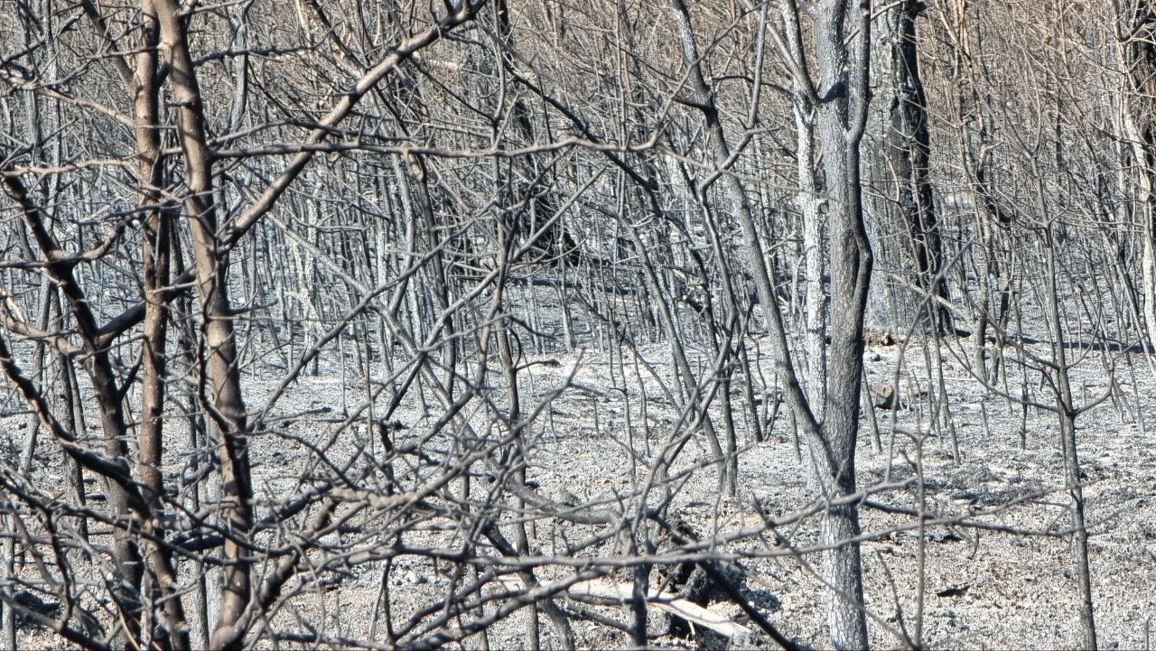 В Азовском районе больше 20 спасателей продолжают тушить ландшафтный пожар после атаки БПЛА