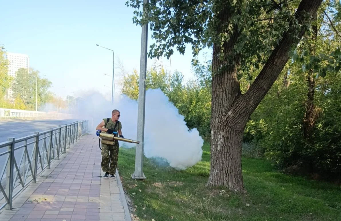 А Ростове продолжается борьба с клещами