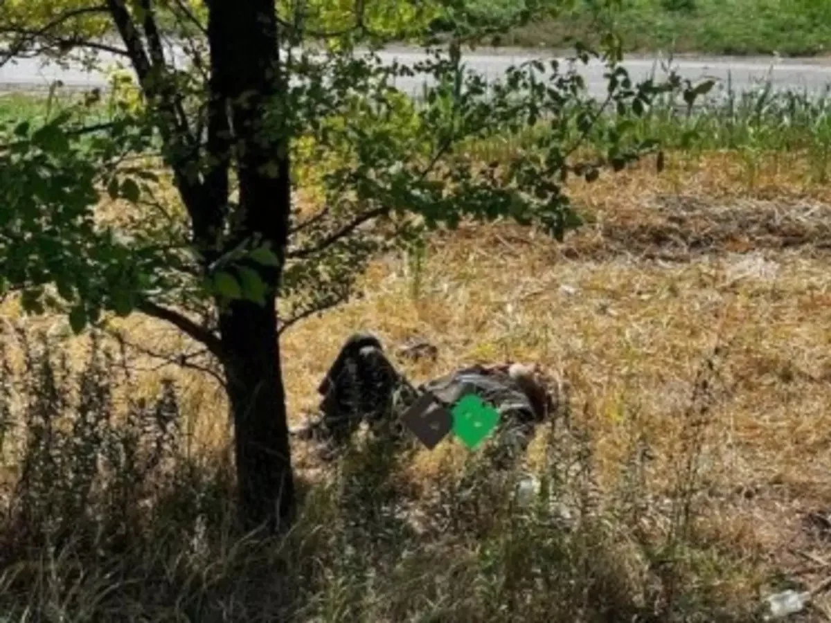 В Батайске мужчина четыре дня лежал под деревом и умирал