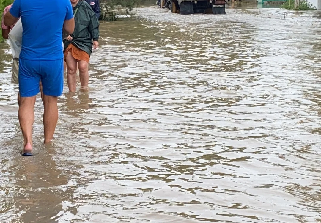 Голубев объяснил, почему грунтовые воды начали топить донские хутора